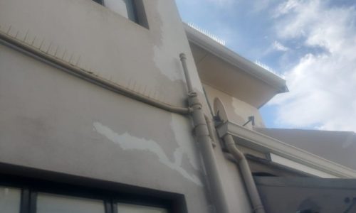 WhatsApp Image 2025-09-14 at 6.39.20 PM